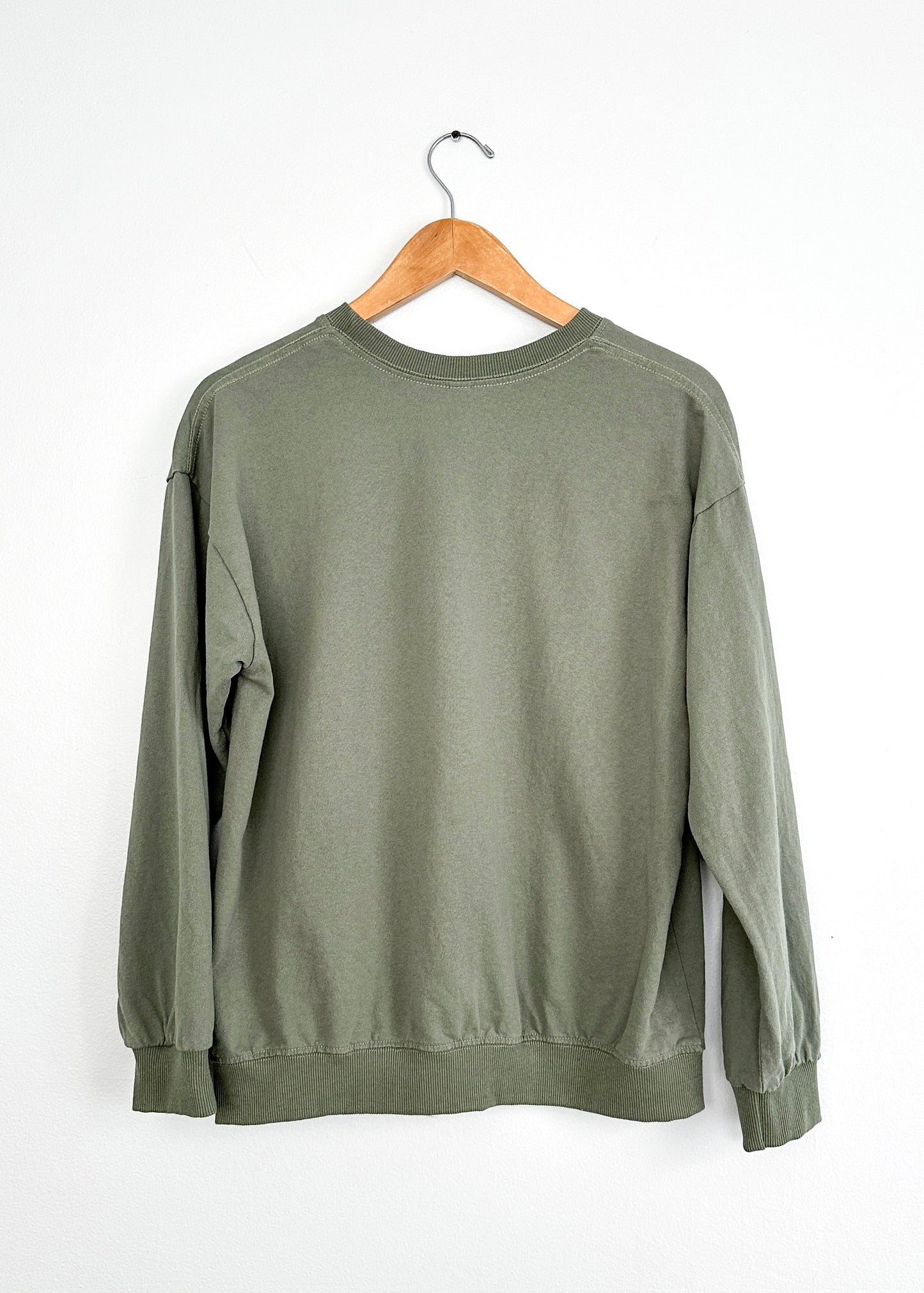 Dachshund Sage Green Pullover Sweatshirt (L)