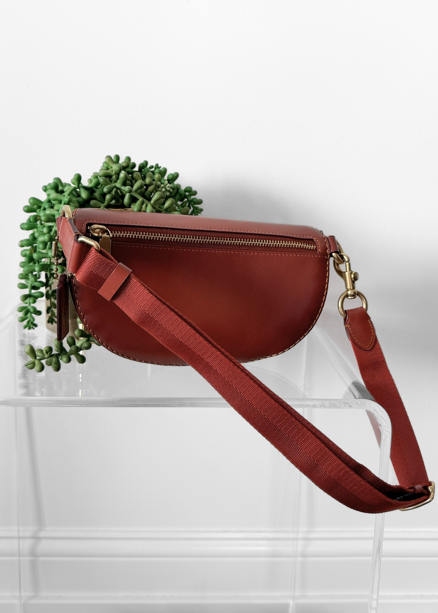 NEW Coach Bethany Belt Bag in Signature Canvas Brown Leather