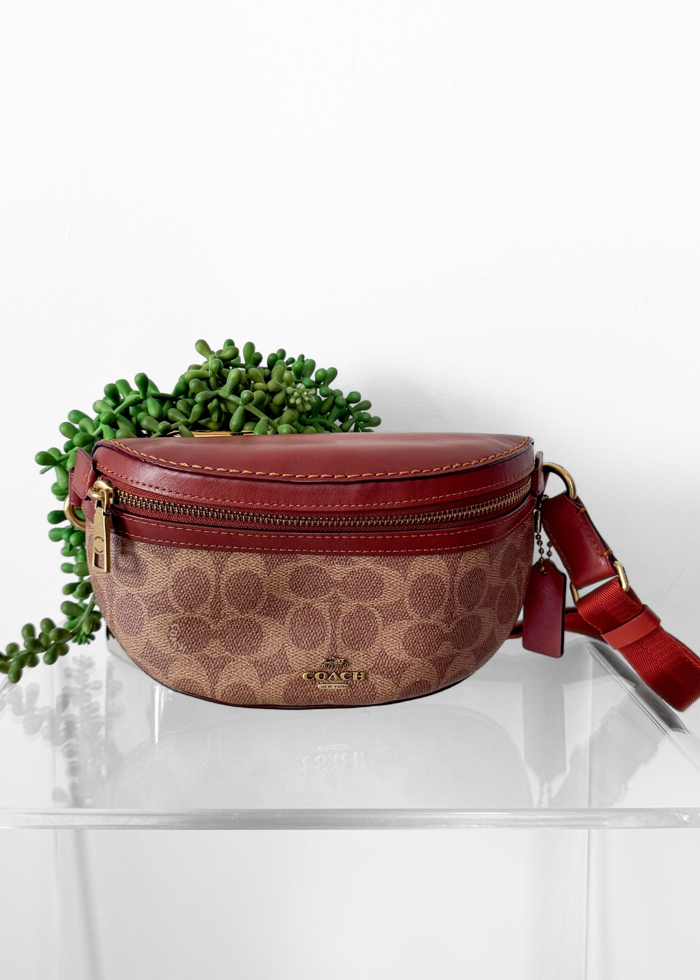 NEW Coach Bethany Belt Bag in Signature Canvas Brown Leather