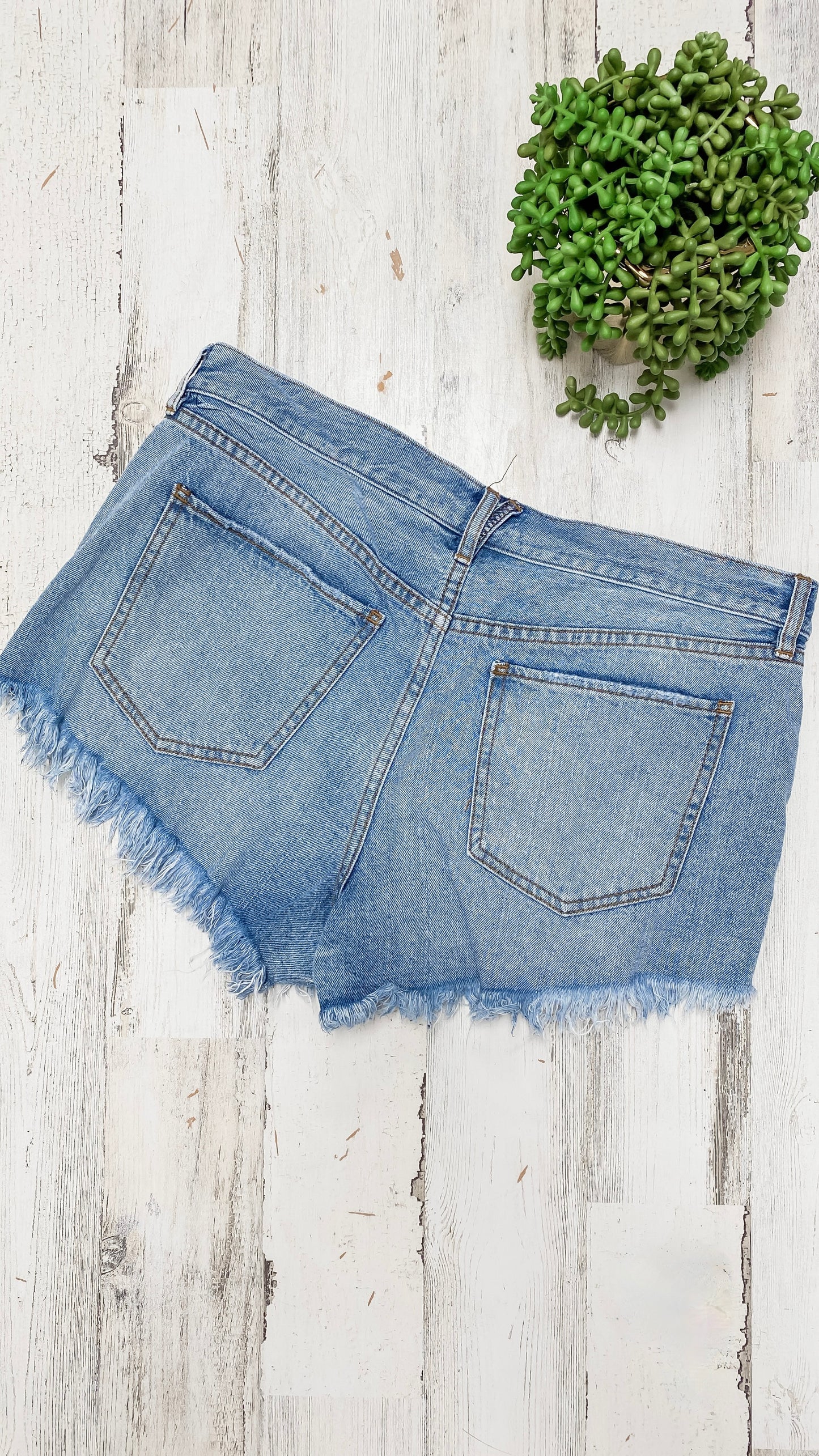 Free People Button Fly Cut Off Jean Shorts (31 or 8)