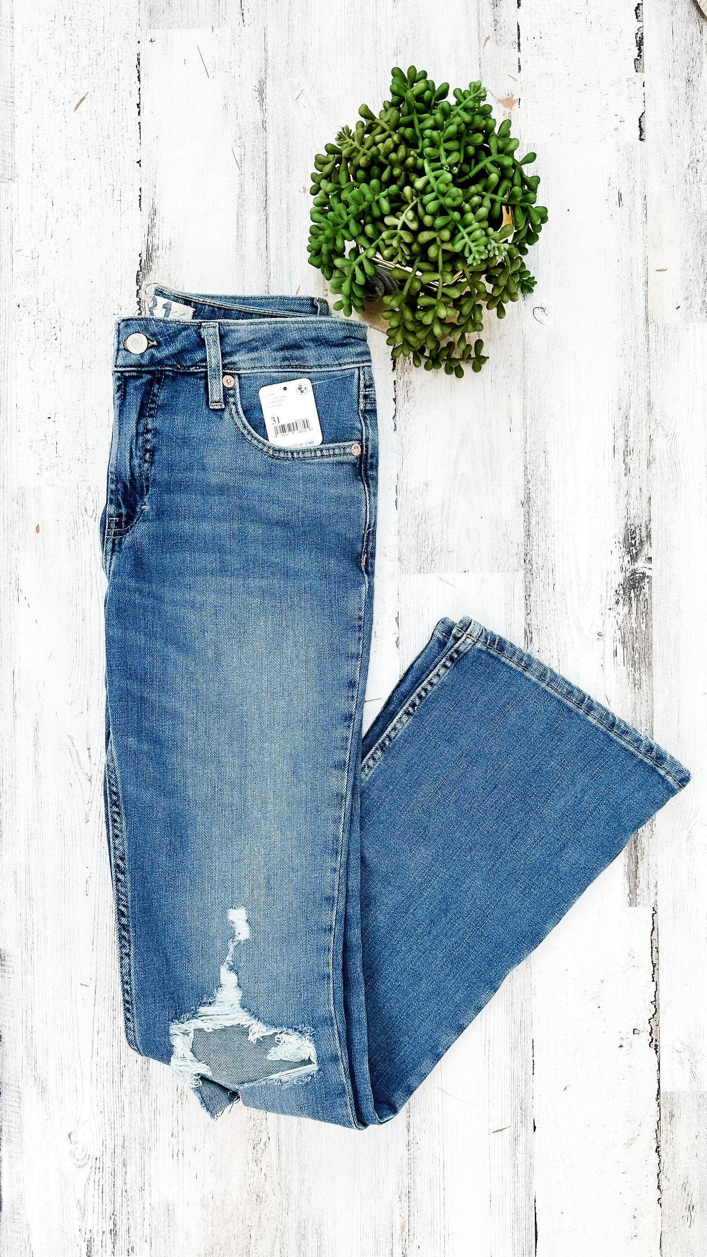 NEW Free People Carmen Flare Denim Jeans (6/8 or 31)